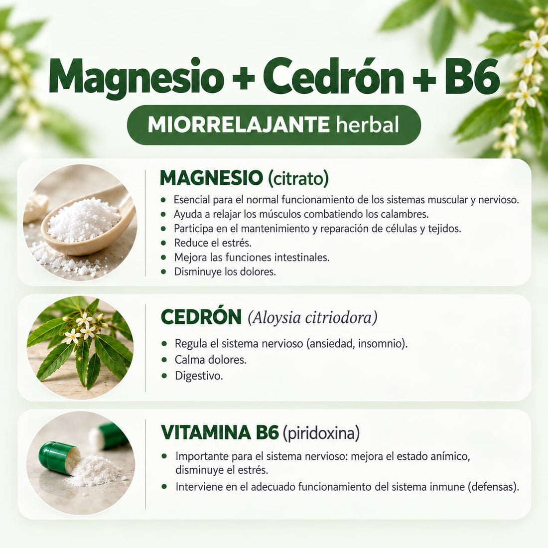 Magnesio + Cedrón + B6 · Relajante muscular natural
