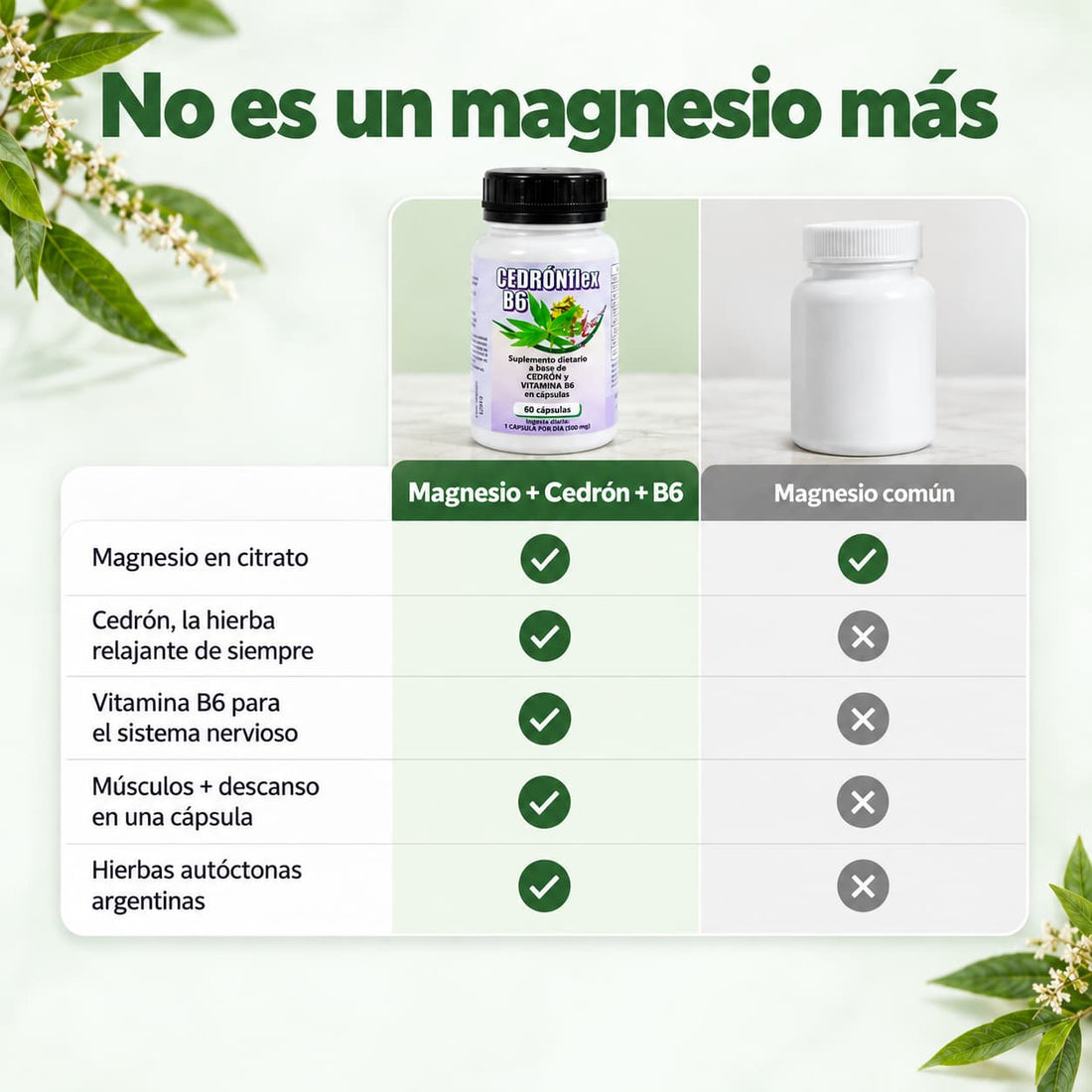 Magnesio + Cedrón + B6 · Relajante muscular natural
